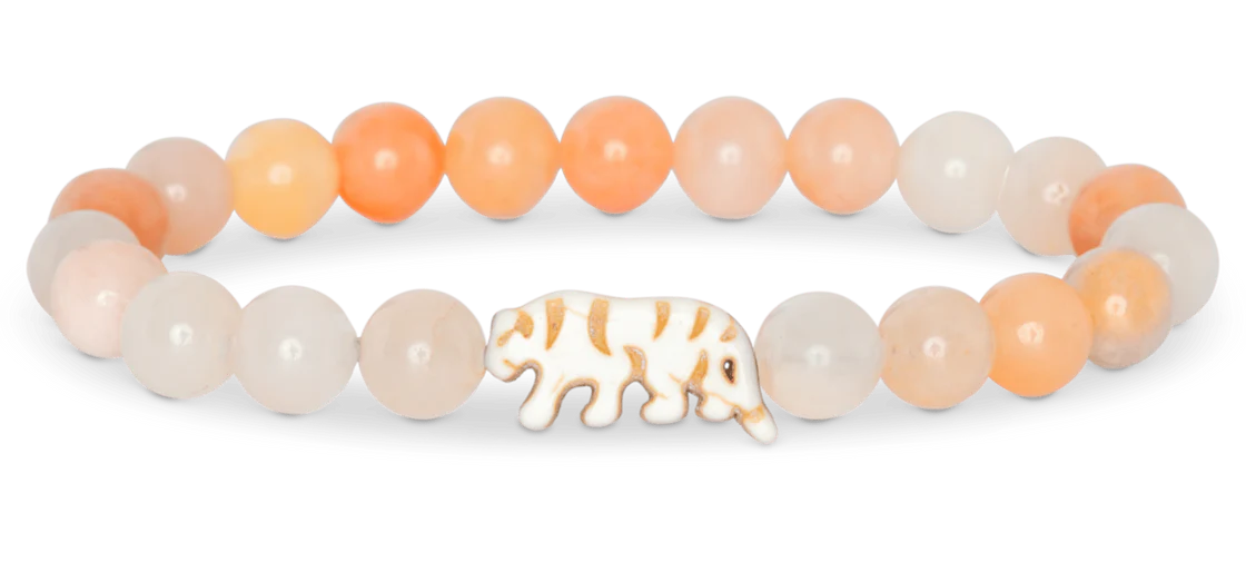 Tiger's eye stone tracking bracelet by Fahlo