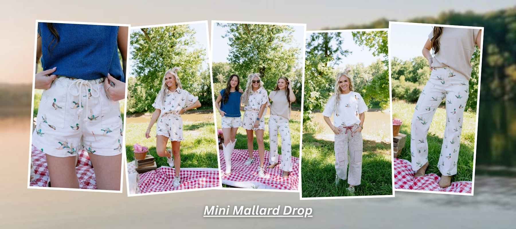 mini mallard drop cover image