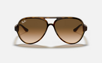Cats 5000 Classic Brown Ray Ban Sunglasses