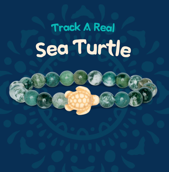 Fahlo Journey turtle tracking bracelet, shown in one of three available colors