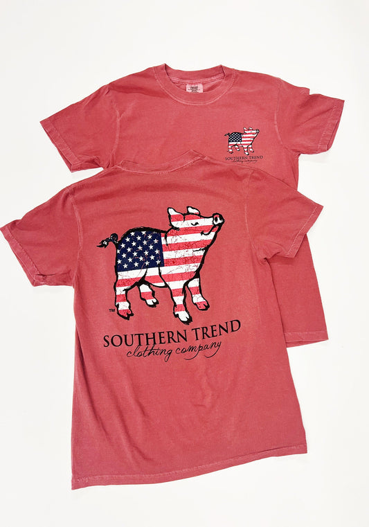 American Flag Pig T-Shirt- Brick