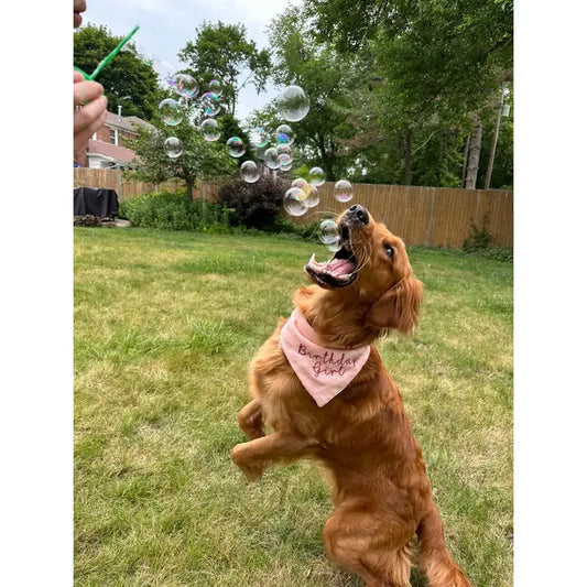 Bubblelick™ Pets Peanut Butter Swirl Bubbles