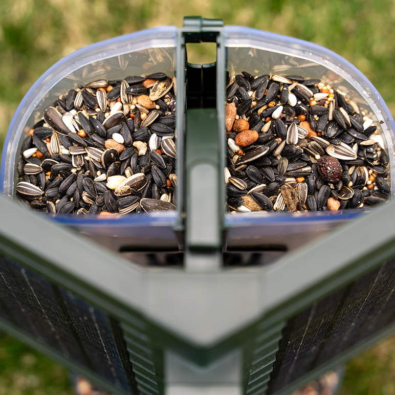 Feather Snap Scout Bird Feeder