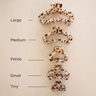 Teleties Open Claw Clip size chart in blonde tortoise, from Tiny to Large