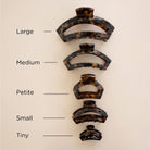 Teleties Open Claw Clip size chart in tortoise, from Tiny to Large, Petite labeled