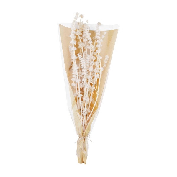 Lion Grass Bundle Vase Filler