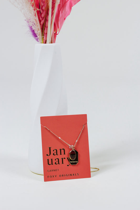 January Birthstone Necklace