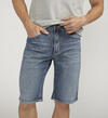 Silver Zac Relaxed Fit Shorts