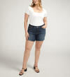 Womens Silver Suki Mid Rise Luxe Stretch Shorts- Plus Size