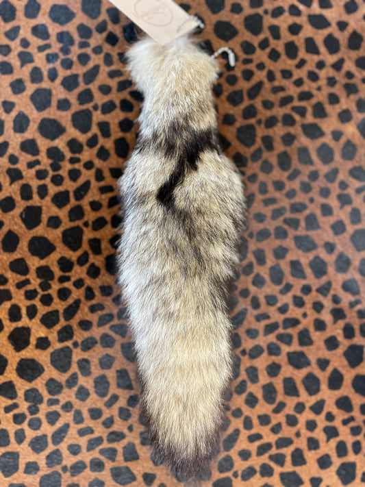 FOXTAIL-1