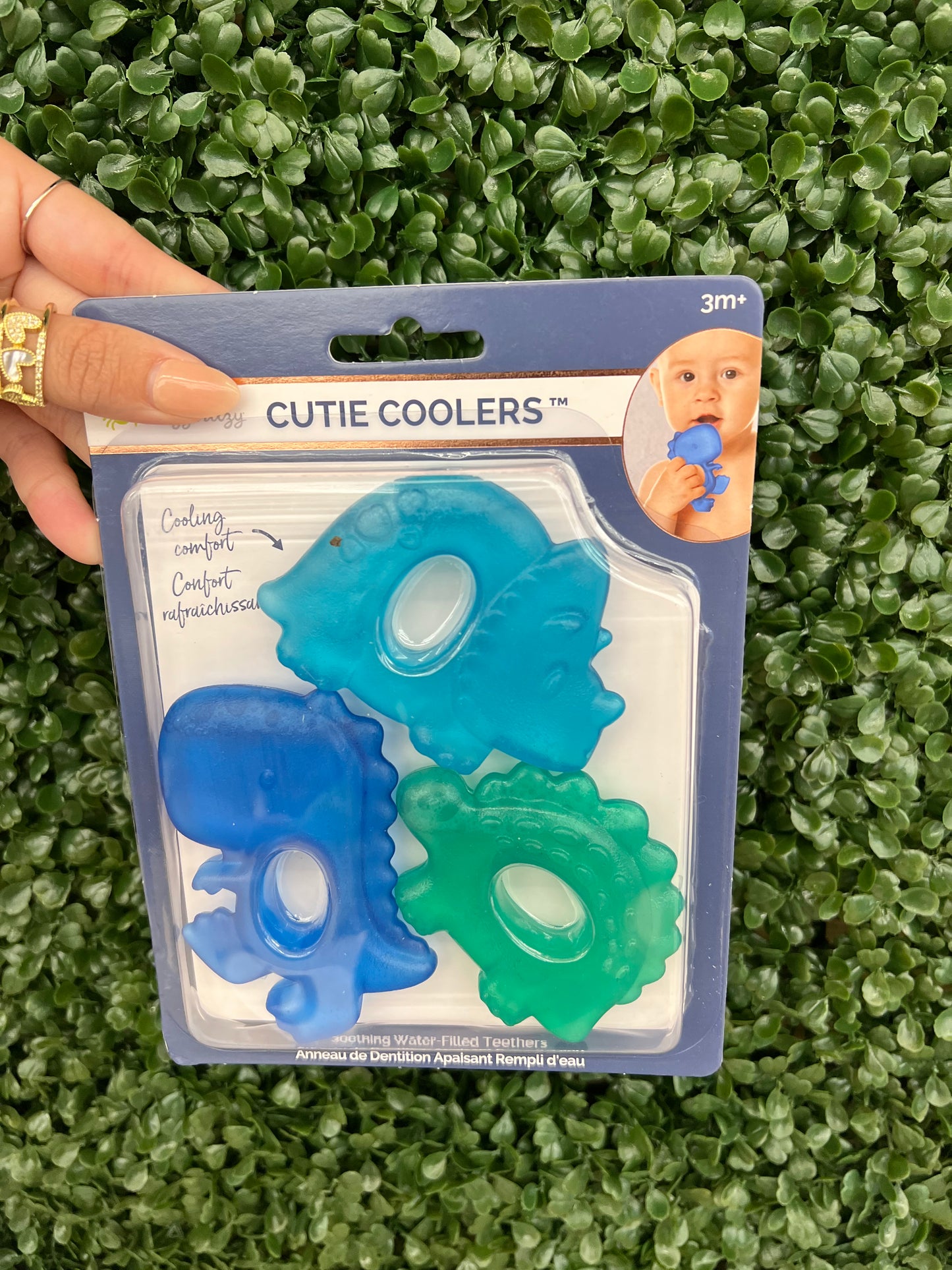 Dino Cutie Coolers By Itzy Ritzy